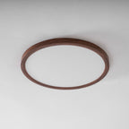 Slim Circular Ceiling Fixture Lighting Lobby