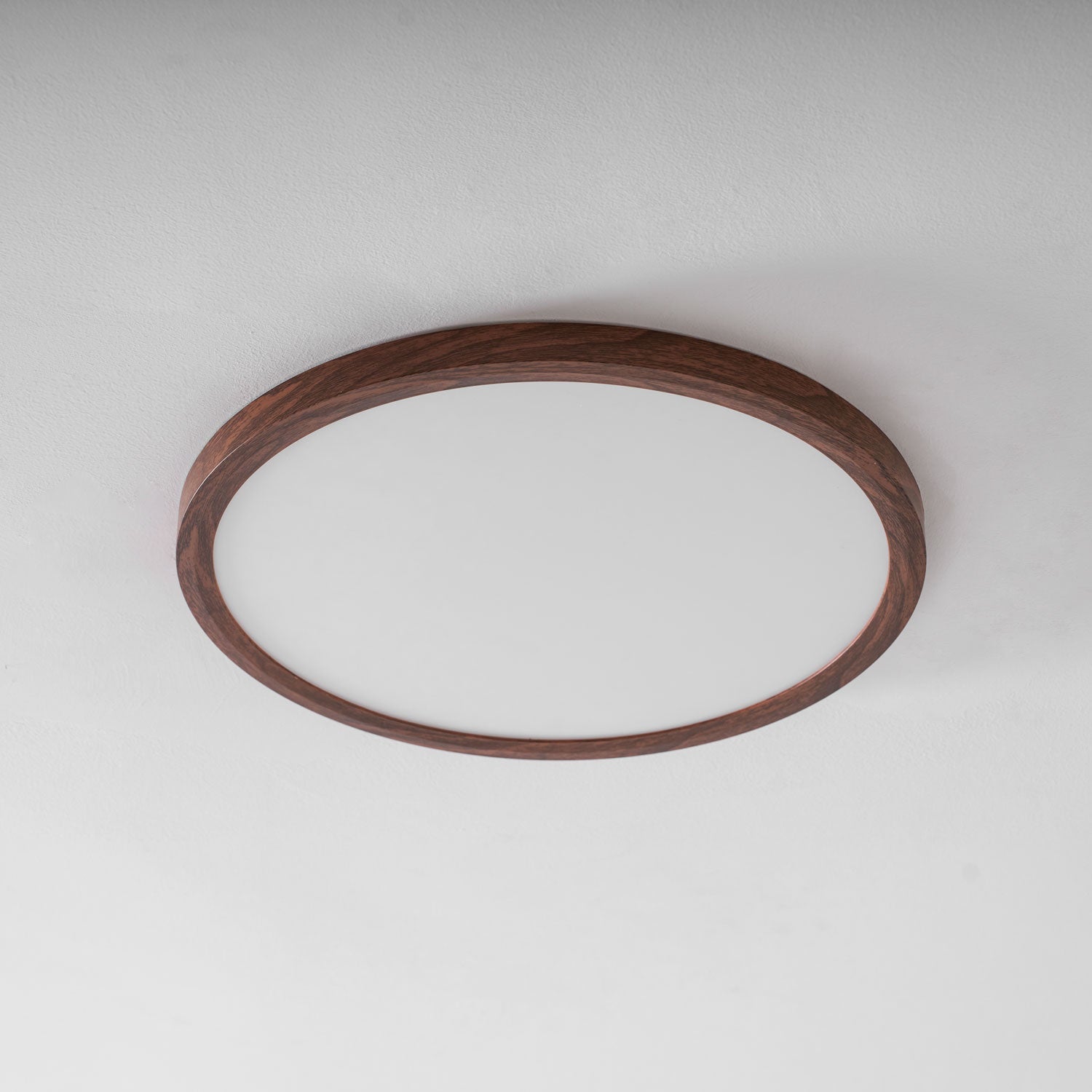 Slim Circular Ceiling Fixture Lighting Lobby