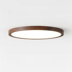 Slim Circular Ceiling Fixture Lighting Lobby