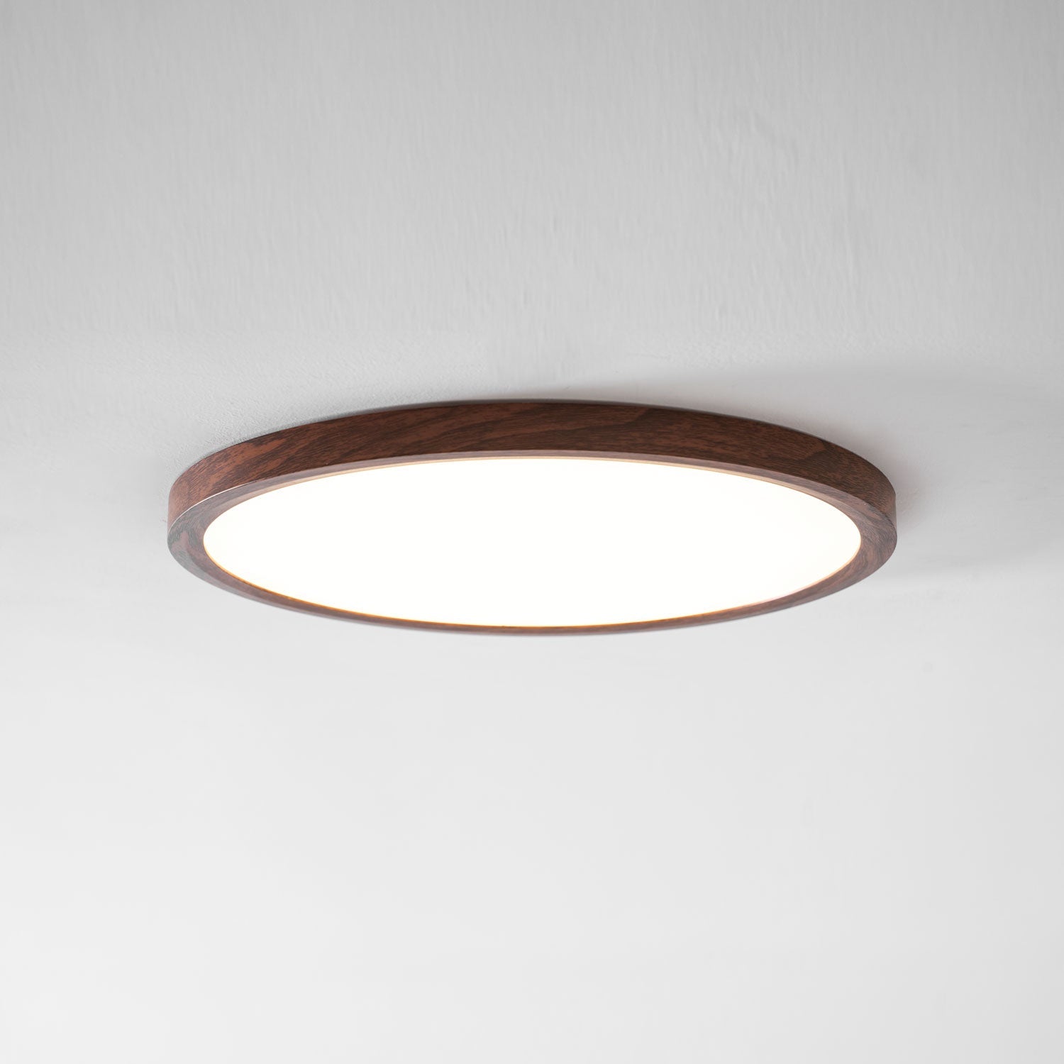 Slim Circular Ceiling Fixture Lighting Lobby