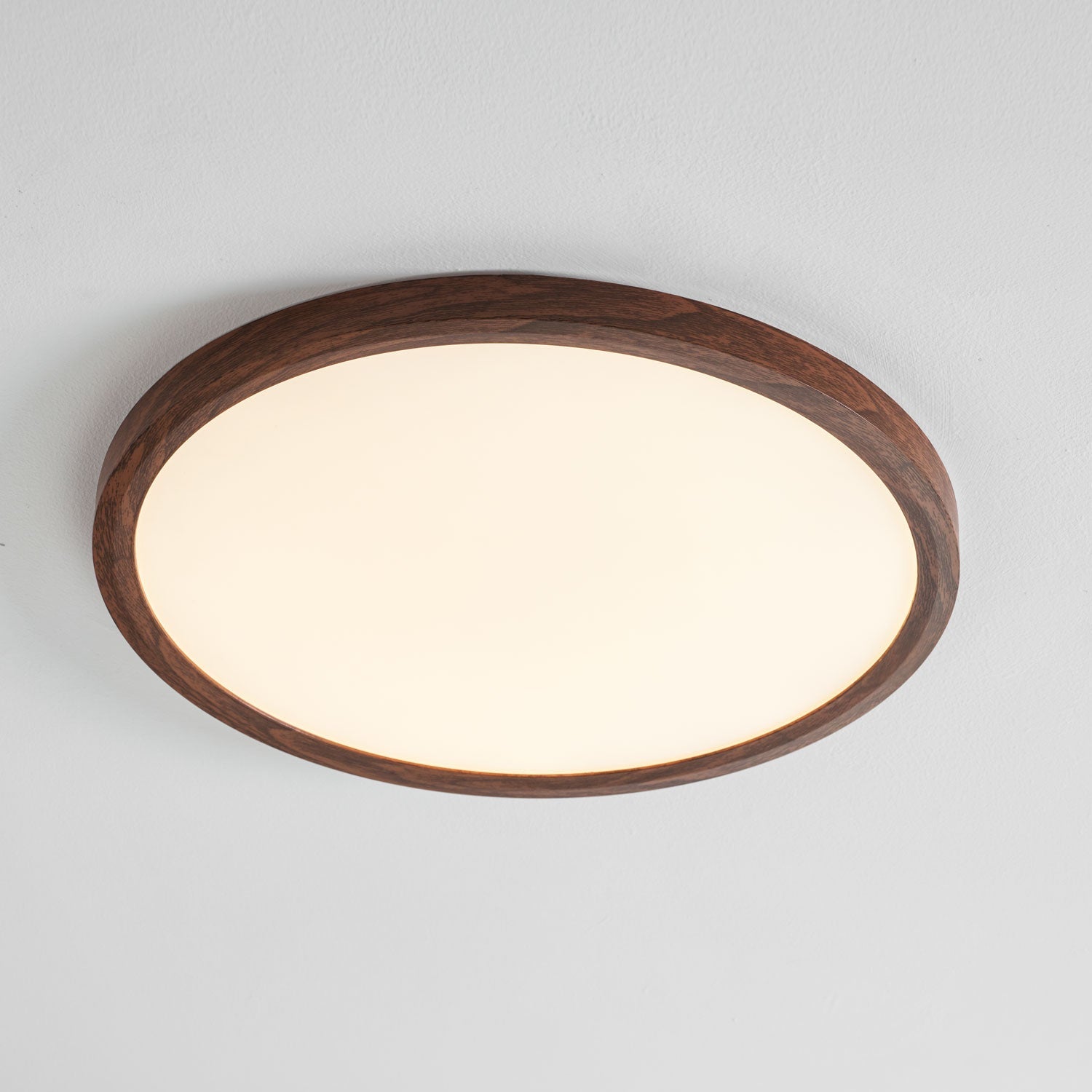 Slim Circular Ceiling Fixture Lighting Lobby