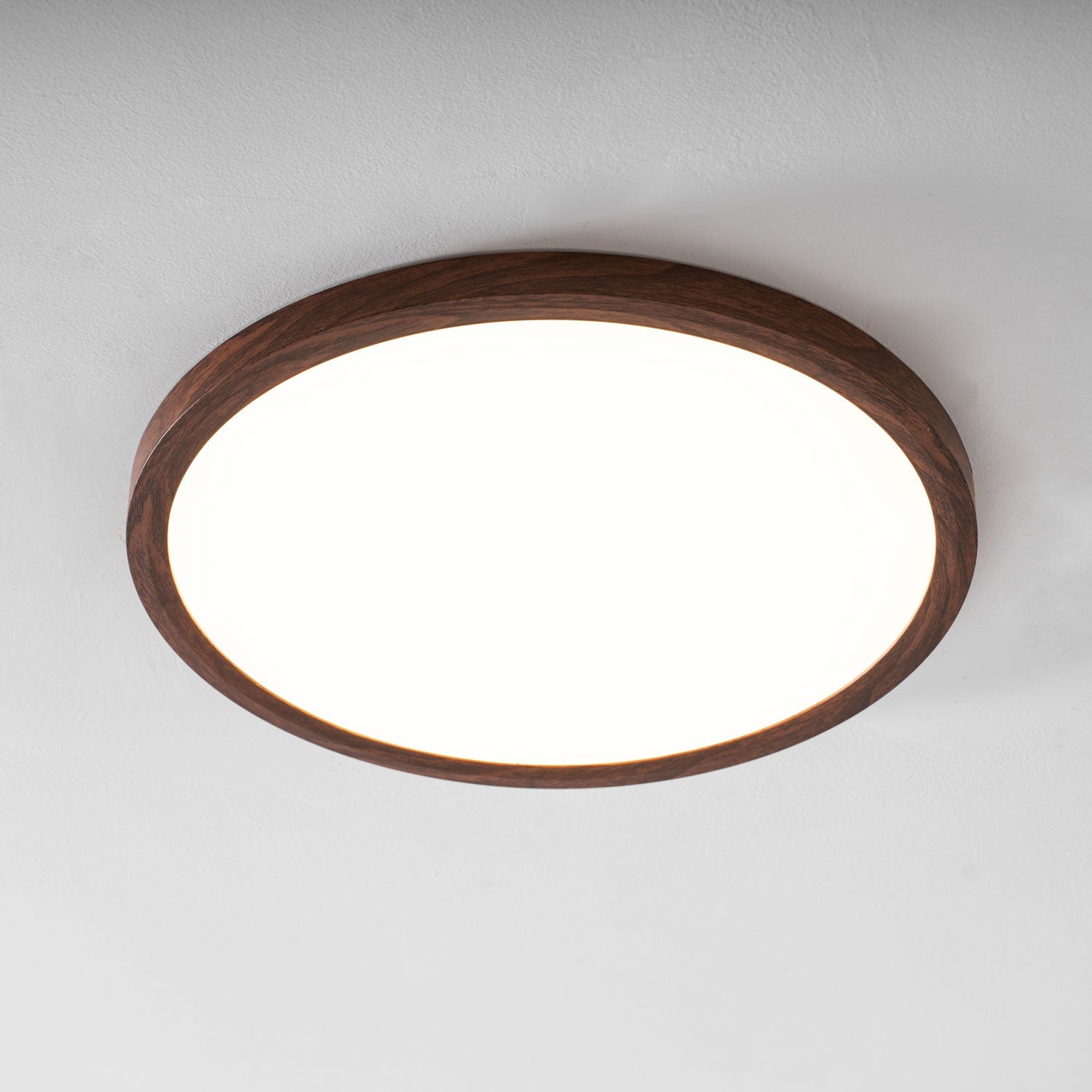 Slim Circular Ceiling Fixture Lighting Lobby