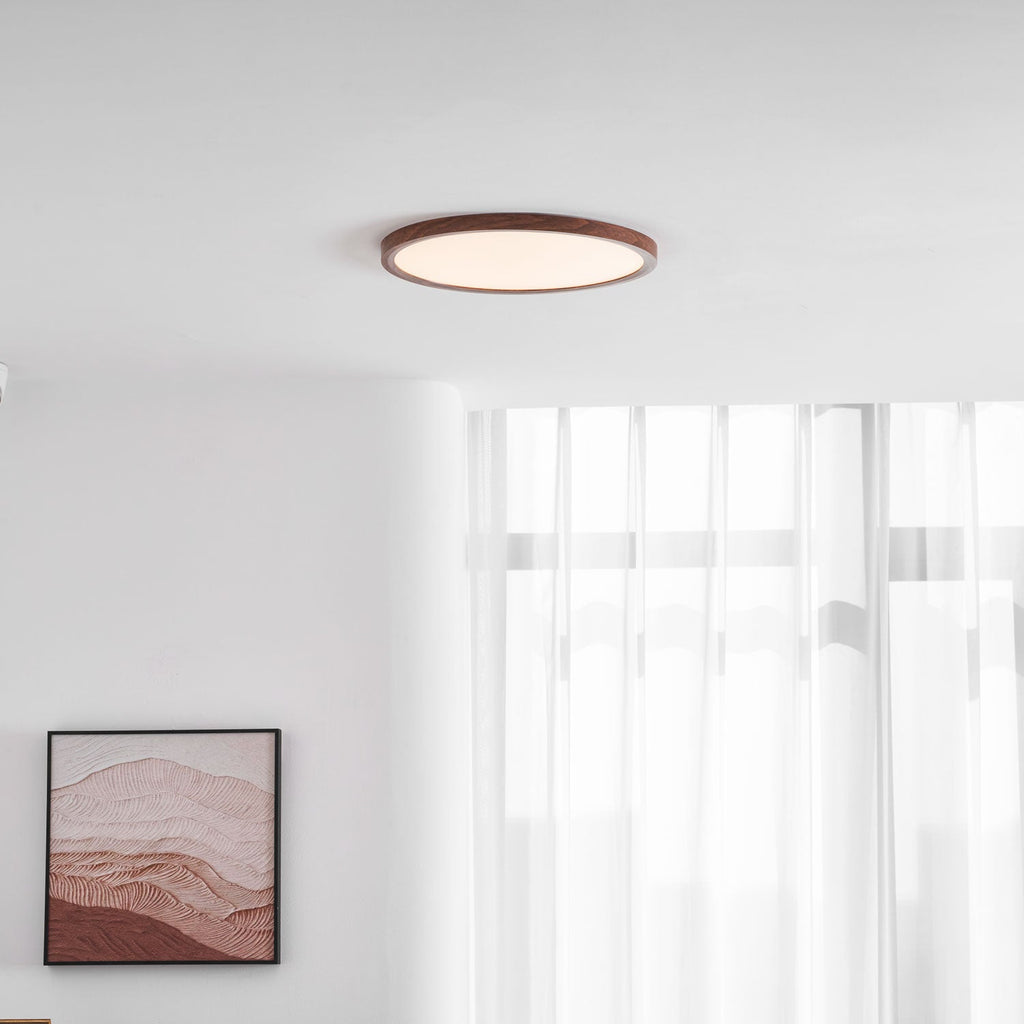 Slim Circular Ceiling Fixture Lighting Lobby