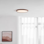 Slim Circular Ceiling Fixture Lighting Lobby