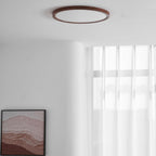 Slim Circular Ceiling Fixture Lighting Lobby