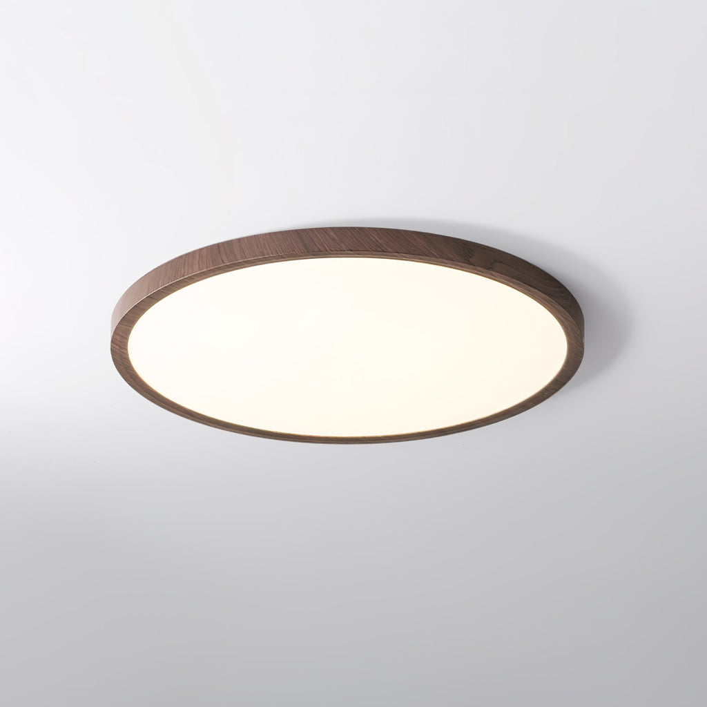 Slim Circular Ceiling Fixture Lighting Lobby