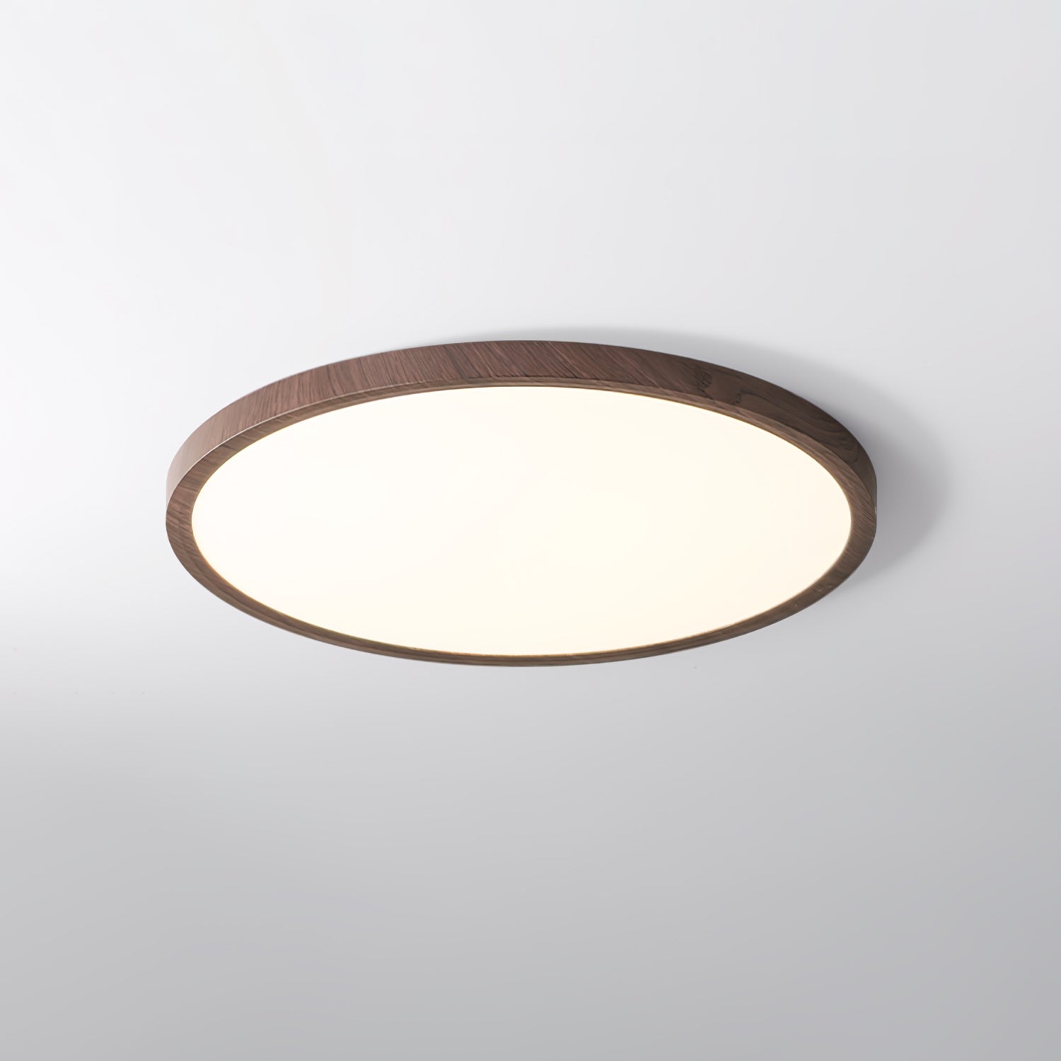Slim Circular Ceiling Fixture Lighting Lobby