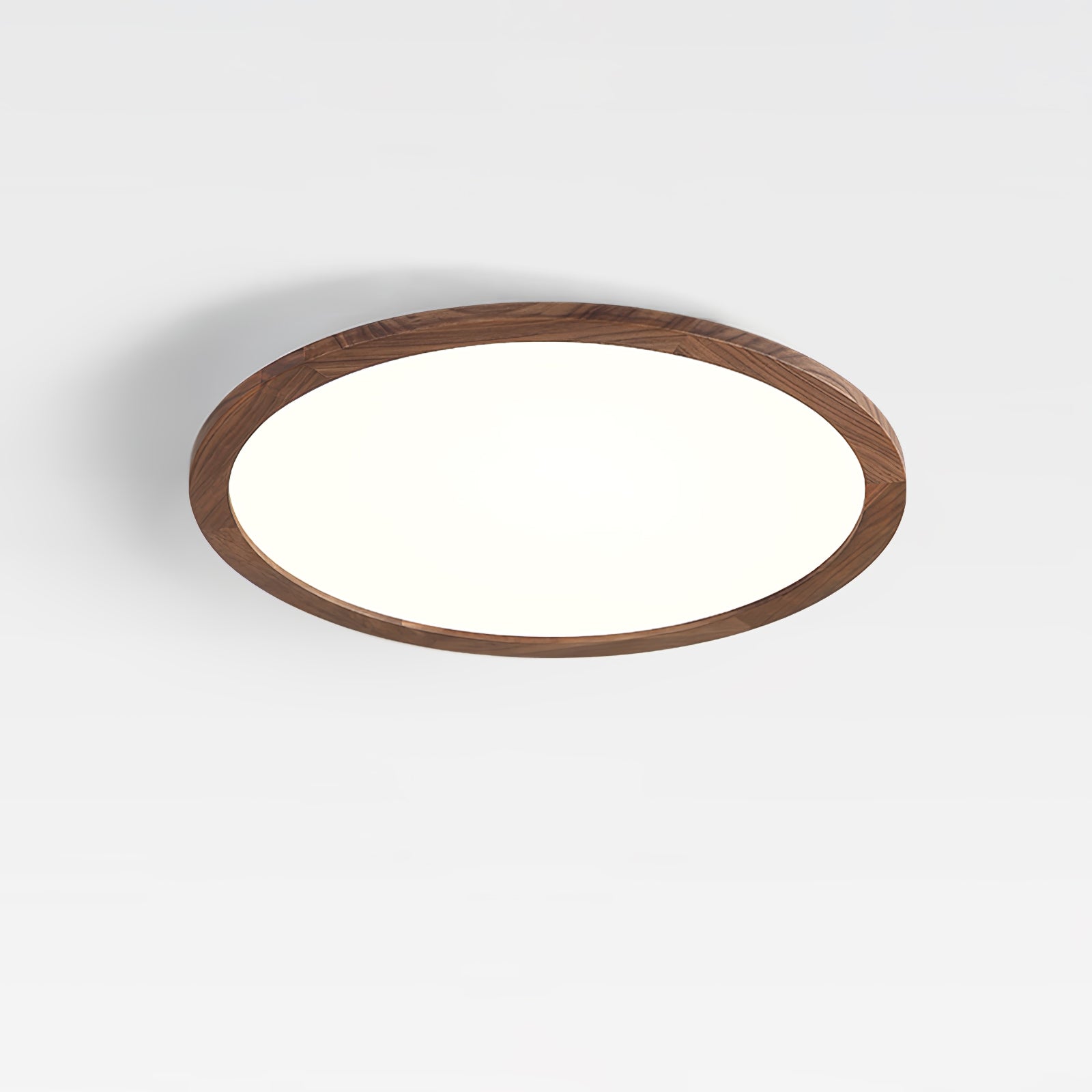 Slim Circular Ceiling Fixture Lighting Lobby