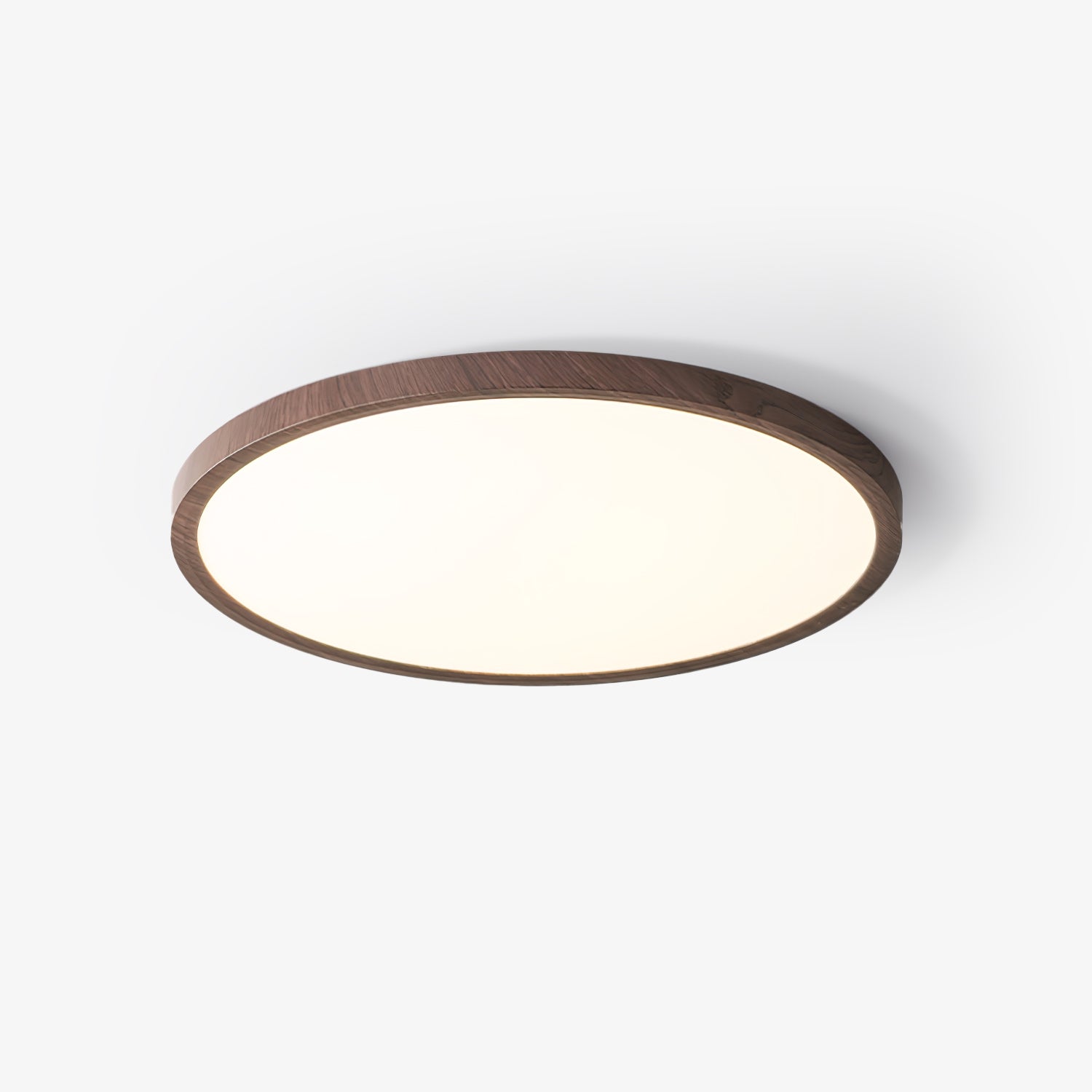 Slim Circular Ceiling Fixture Lighting Lobby