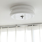 Vintage Art Deco Ceiling Fixture Lighting Lobby