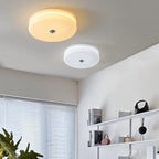 Vintage Art Deco Ceiling Fixture Lighting Lobby