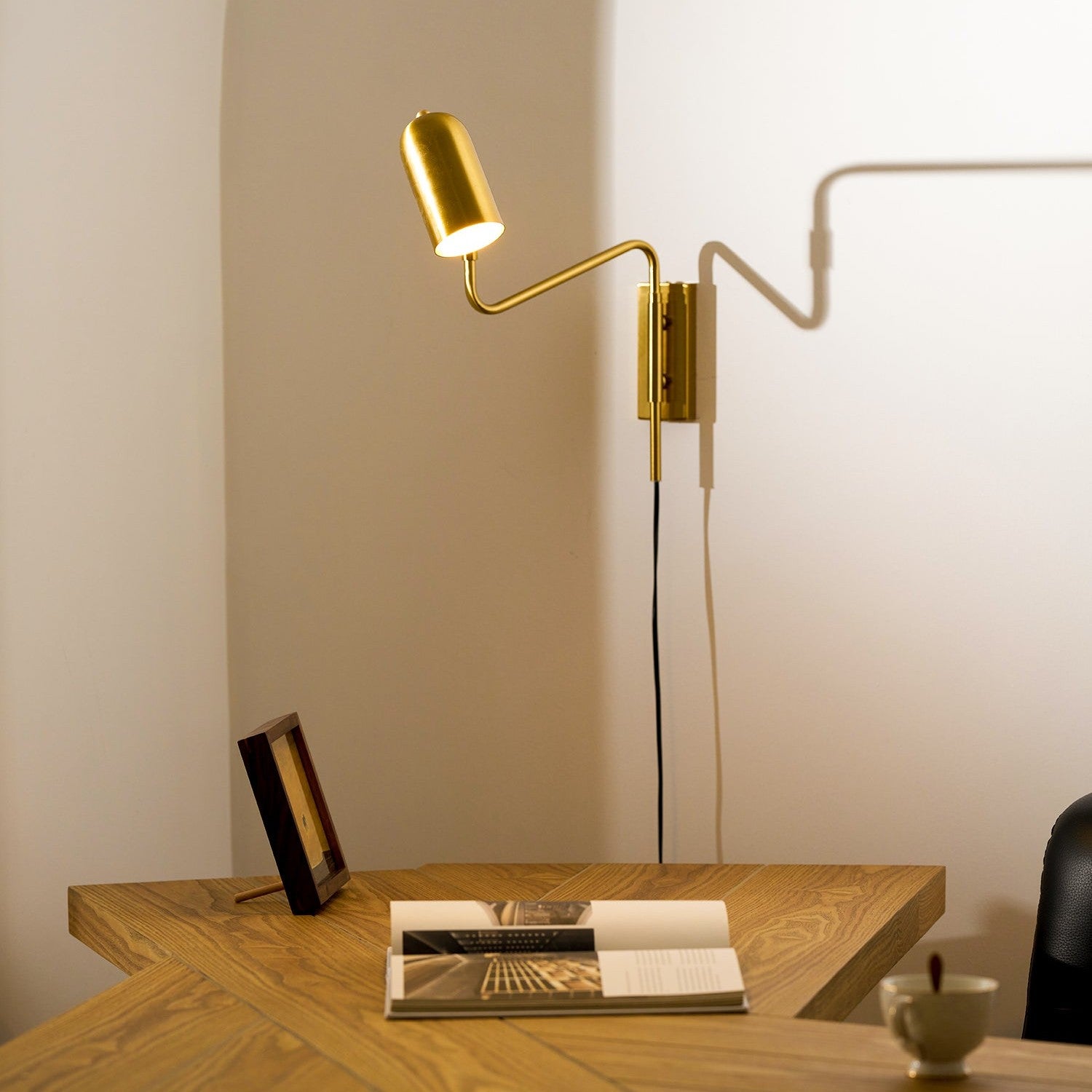Wall-Mounted Plug In Adjustable Arm Light Lighting Lobby