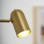 Wall-Mounted Plug In Adjustable Arm Light Lighting Lobby